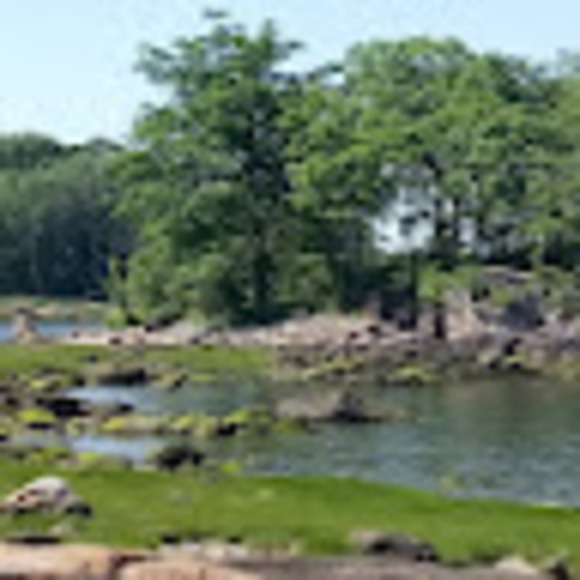 Meet your Posher, Vanessa - Picture 1 of 1